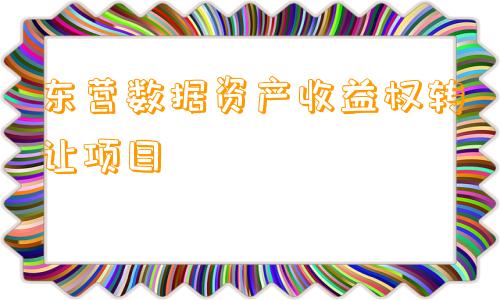 东营数据资产收益权转让项目