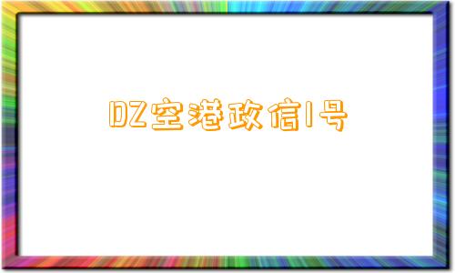 DZ空港政信1号