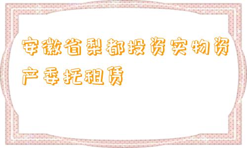 安徽省梨都投资实物资产委托租赁