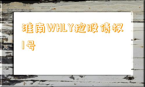 淮南WHLY控股债权1号