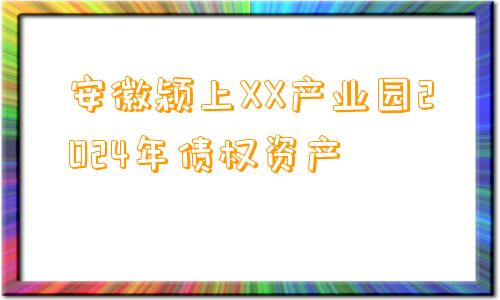 安徽颍上XX产业园2024年债权资产